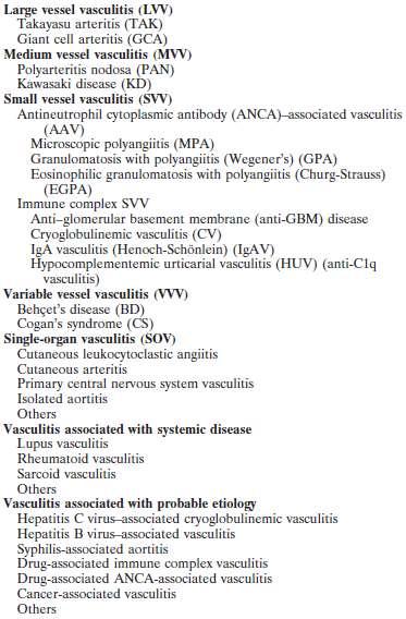 2012 Revised International Chapel Hill Consensus Conference (CHCC) Nomenclature of Vasculitides Four new primary categories included Replaced some eponyms with descriptive terms