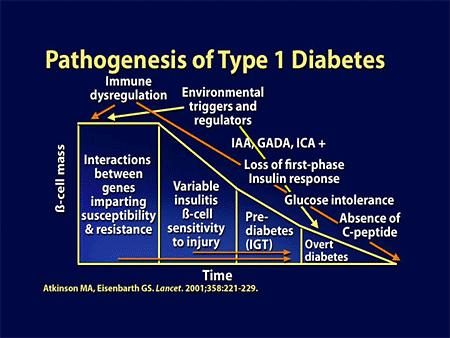 Comparison of Diabetes Types Type 1 Type 2 LADA Onset Rapid Slow Rapid Family Hx Uncommon Common Maybe?