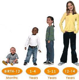 Changes during growth height and weight, body surface Relative size of