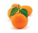 Tangerine CHEMICAL CHARACTERISTICS before using. Do not use on skin. Reacts strongly to sunlight and other sources of ultraviolet light. tangerine Citrus reticulata Ingredients: tangerine oil.