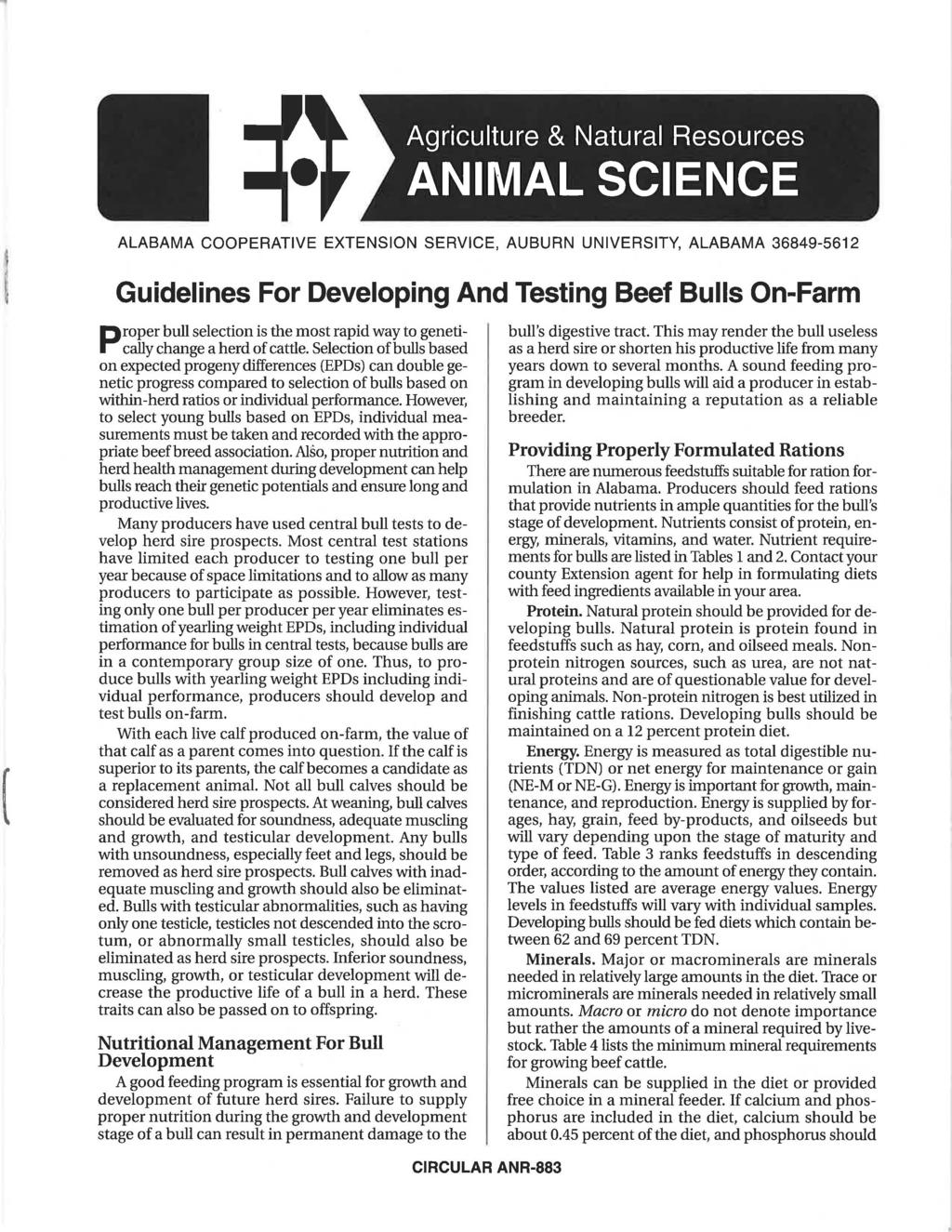 ALABAMA COOPERATIVE EXTENSION SERVICE, AUBURN UNIVERSITY, ALABAMA 36849-5612 ( Guidelines For Developing And Testing Beef Bulls On-Farm roper bull selection is the most rapid way to geneti change a
