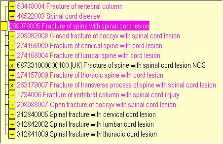 Inactive content in your Queries Before October 2011 363662004 Duplicate concept 404684003 Clinical Finding 48522003 Spinal cord disease 312840005 Spinal fracture with cervical cord lesion 274156000