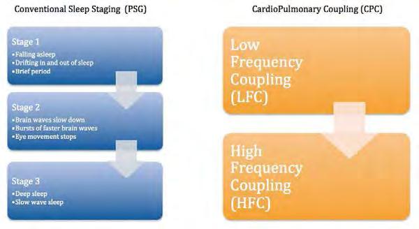 Figure 3. The relationship between conventional sleep scoring system and the Cardiopulmonary Coupling (CPC) scoring system.
