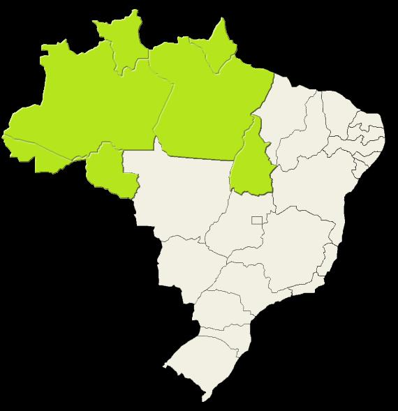Regional Distribution 5,0% From a total of