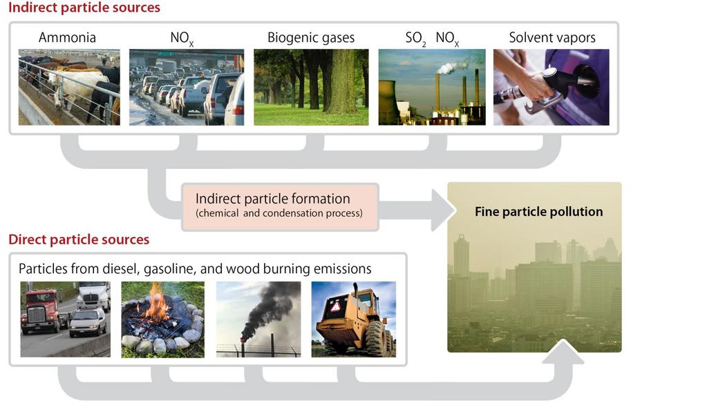 Figure 2: Sources of fine particle pollution Ozone is a colorless gas composed of three atoms of oxygen.