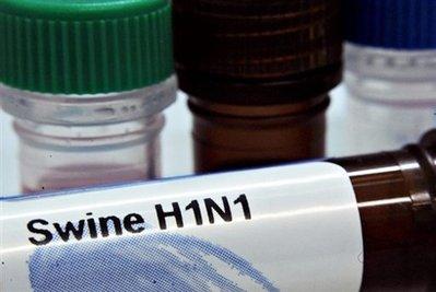 Novel H1N1