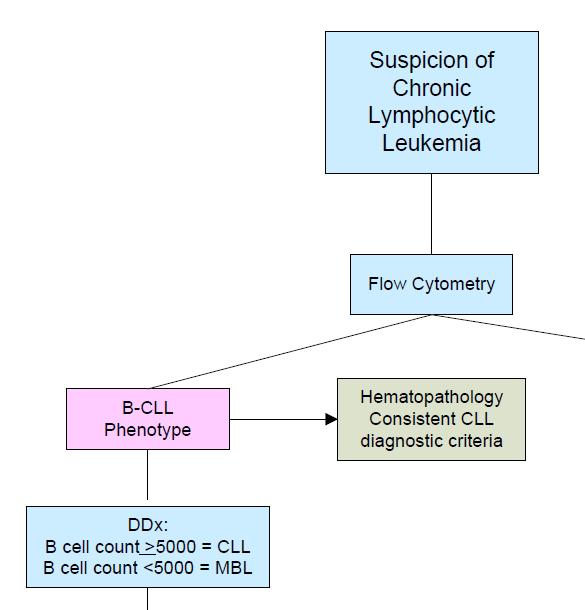 CLL Initial Evaluation on Blood It is important to get the diagnosis correct right from the beginning Establish CLL Dx Lymphocyte morphology Flow