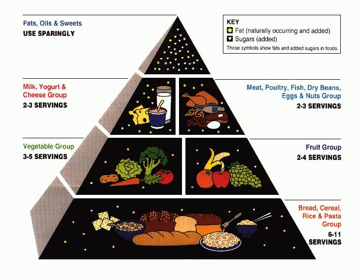 Figure 14-1. Build a healthy base by eating a variety of foods. Different foods contain different nutrients and other healthful substances.