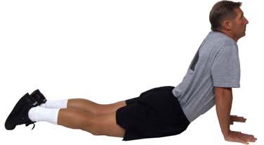 The Stretch Drill Exercise 3: The Extend and Flex Purpose: This exercise develops flexibility of the hip flexors, abdominals, hip (Position 1 - extend) and the low back, hamstrings and calves