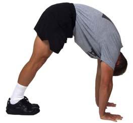 Hold this position for 20 seconds. On the command, Starting Position, MOVE, assume the starting position.