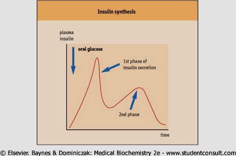 SECRETION OF INSULIN Plasma insulin Oral glucose Metabolic effects of insulin No insulin dependent Insulin dependent /ADP ratio