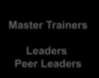 Assists with workshop, strong role model Faculty Trainers Master Trainers Leaders Peer Leaders Lead workshops, train Leaders,