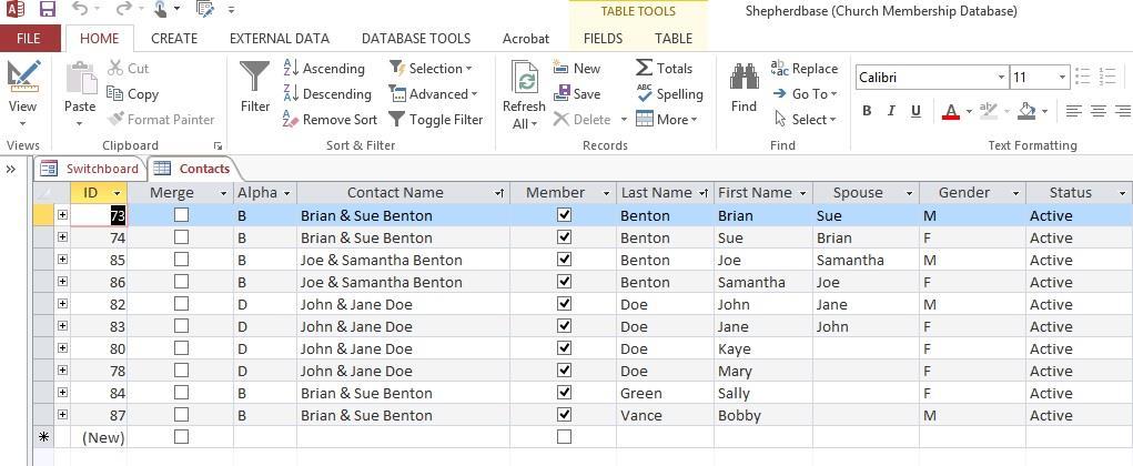 Family Additions Datasheet: Add, delete, edit and view family additions.