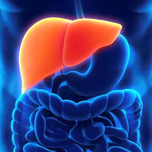 Probiotics in Liver Diseases