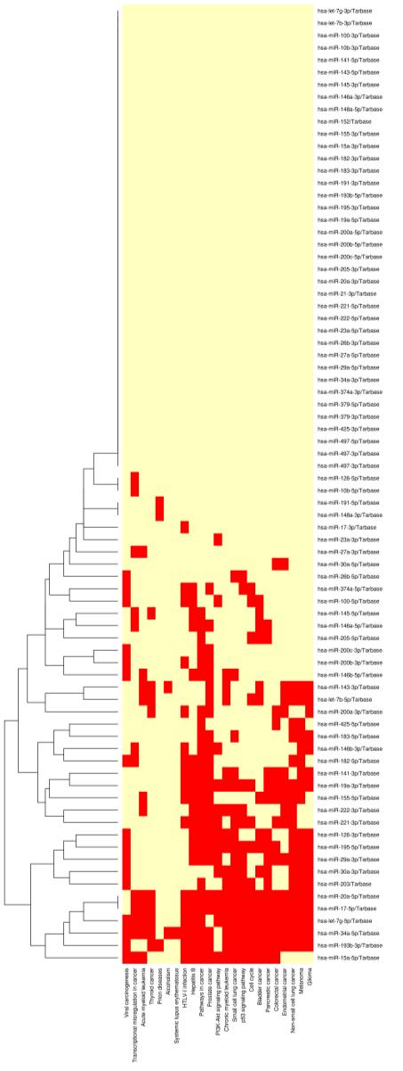 Figure 35 Heatmap of mirna Expression in Various Pathways Figure 35.