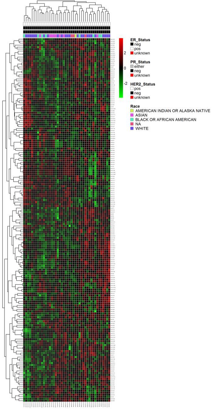 Figure 11 Expression of mirna in Her2 Tumors (No Missing Values) Figure 11.