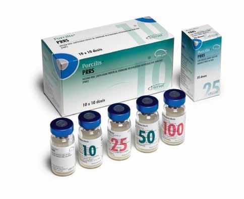 Two important respiratory vaccines can now be mixed Porcilis PRRS and can now be safely mixed together with no loss of efficacy, for more convenient dosing.