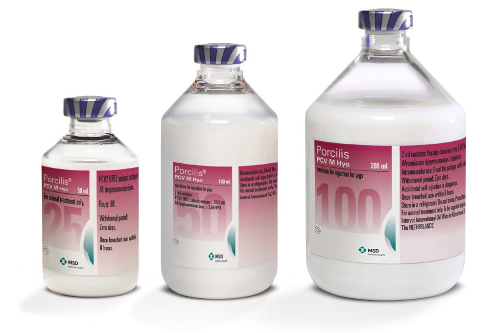Why Porcilis PCV M Hyo Porcilis PCV M Hyo is a new ready-to-use (RTU), one-dose combination vaccine that protects your pigs from both PCV2 and M. hyo throughout the critical grow/finish period.