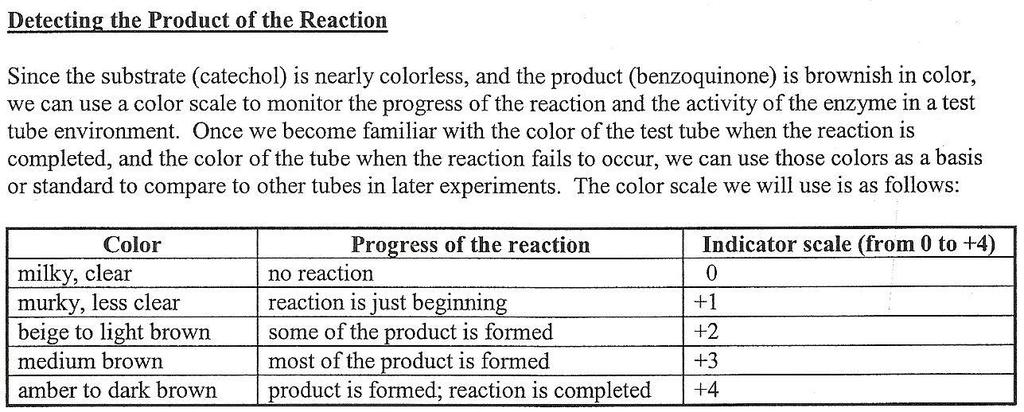 So how do you know when there s a reaction? When the reaction turns a brownish color that tells us the activity of the enzyme.