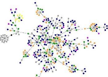 Social Network Analysis: When