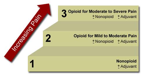 Non-Opioids: Acetaminophen (Tylenol), NSAIDs (Ibuprofen) Adjuvants: AnRdepressants,