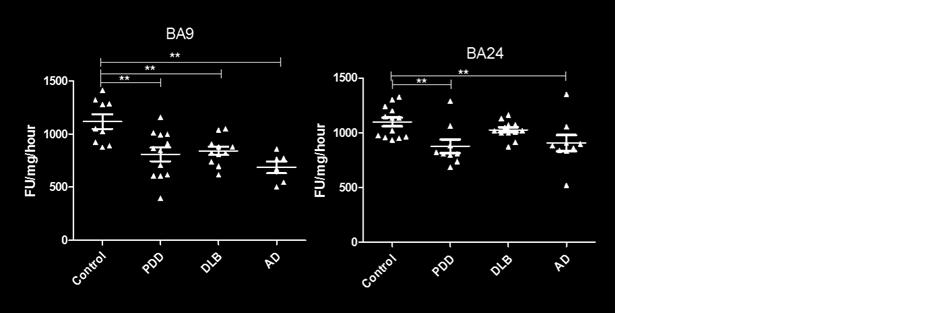 Figure 3: Analysis of chymotrypsin -like activities in brain homogenates from BA9, BA40, and BA24 of DLB, PDD, AD, and controls.