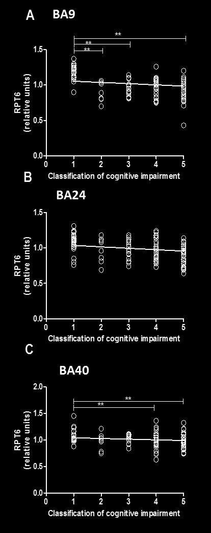 Regression analysis showed RPT6 levels in BA9, BA24 and BA40 of control, DLB, PDD and AD to be significant predictors of the cognitive