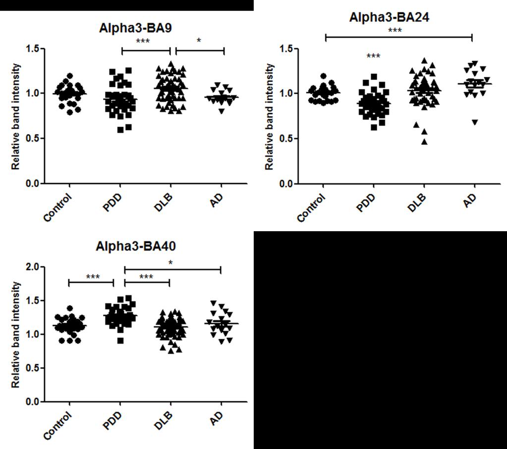 Supplementary figure 1 In BA9 the α3 subunit of the 20S proteasome unit was significantly increased in PDD cases compared to DLB (U=488, p=0.002) and AD cases (U=227, p=0.