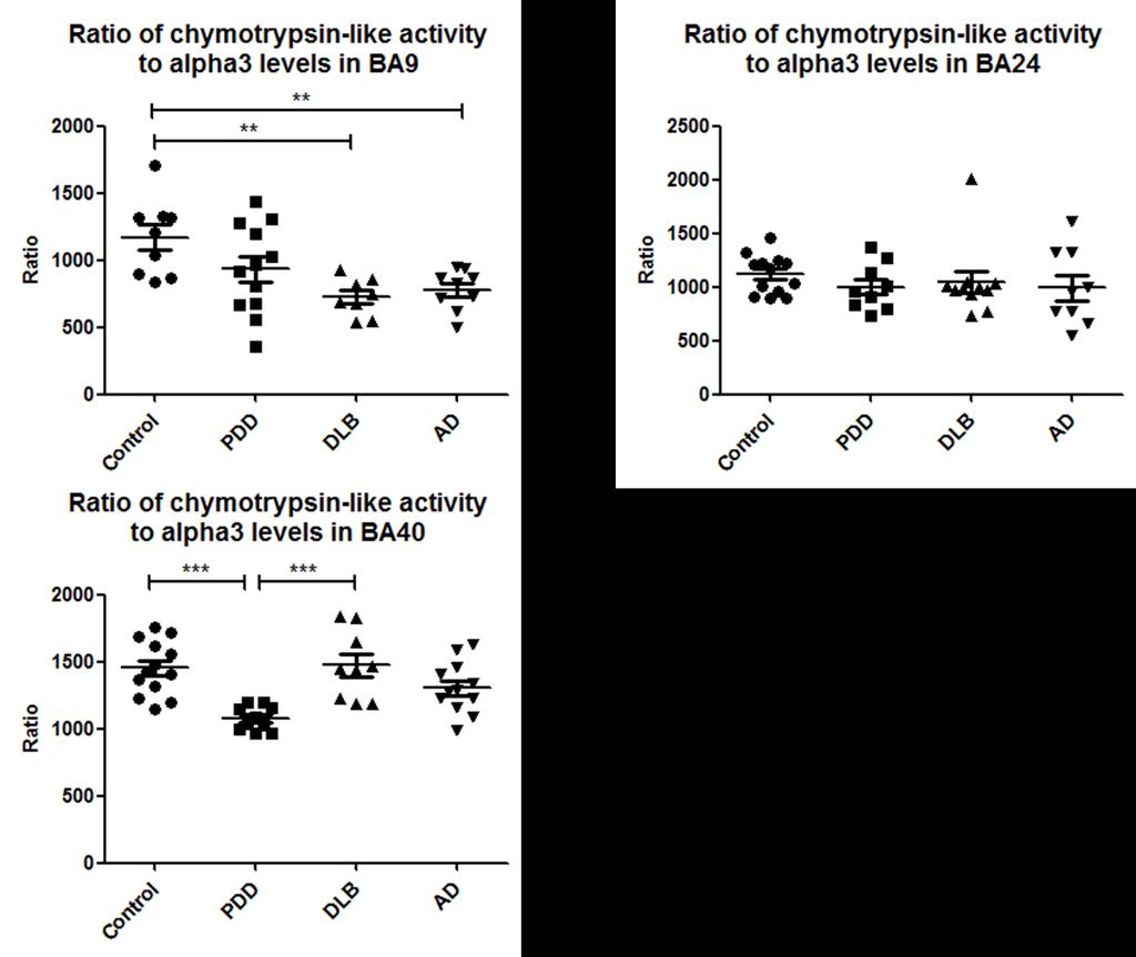 Supplementary figure 3 The ratio of chymotrypsin-like activity to α3 levels was determined for each brain region.