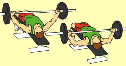 2) Medium Grip Push Up on Floor Pectorals and Triceps Kneel on floor, hands 24" apart. Place legs straight behind, back straight, head up.
