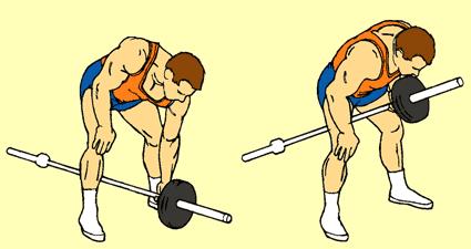 Straddle bar and bend forward until torso is parallel to floor. Keep knees slightly bent. Grasp bar just behind plates with left hand. Place right hand on right knee.