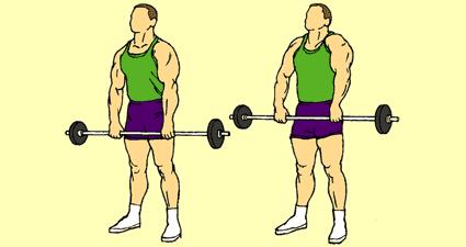 Reverse position and repeat with right arm. 5) Barbell Shoulder Shrug Shoulders Hold barbell, palms down, with hands 16" apart. Keep feet about 16" apart.