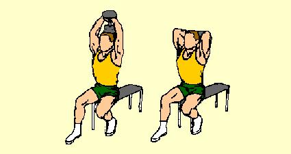 Rotate hands while raising dumbbell so top plates of dumbbell rest in palms, thumbs around handle. Sit at end of bench, feet firmly on floor, back straight, head up. Keep upper arms close to head.