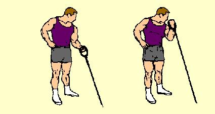 Stand far enough from machine so weight stack is supported with arm at side, palm facing thigh. Curl handle, turning palm up when hand clears thigh. Curl until biceps and forearm touch.