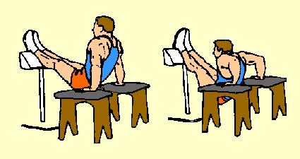 8) Feet Elevated Dip Between Stools Lower Pectorals and Triceps Place two stools, or chairs, about four feet in front of an object that is about waist high that you can rest your heels on.