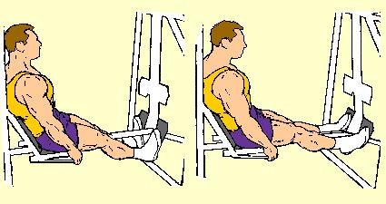 Place balls of feet on lower pads. Press until legs are straight, knees locked. Keep legs straight at all times. Press feet forward as far as possible. Hold, the return feet back as far as possible.
