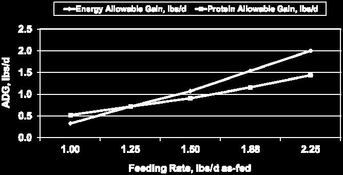 MR Feeding Rate and