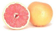Grapefruit Lab Now it s time to move to the Cerebral Cortex and Cerebral Hemispheres.