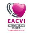 Certification in Congenital Heart Disease Echocardiography Syllabus European Association of CardioVascular Imaging (EACVI)) Association for European Paediatric Cardiology (AEPC) Working Group on