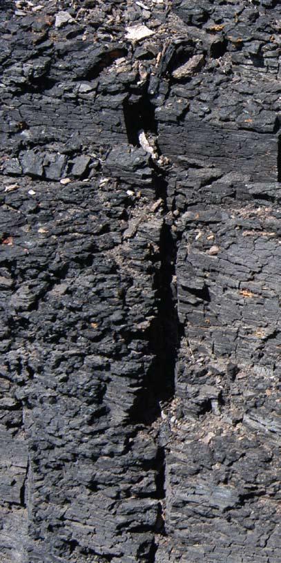 Photo courtesy of Mesa Verde Resources. Humic substances start out as raw ore; they are insoluble and hard to break down.