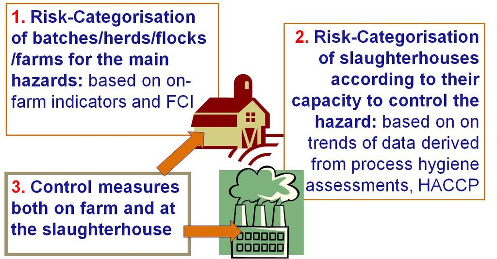 Conclusions on hazards currently not covered by meat inspection To ensure effective control of the hazards of relevance, a comprehensive