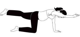 Exercises phase 2 (continued) LEG AND ARM EXTENSION ON ALL FOURS This exercise can be continued into phase 2. On all fours ensure that hands are under shoulder, knees under hips and back flat i.e. table top position.