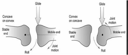End Feel Joint Mobilization Bony Capsular Muscle guarding Springy Empty Grades of movement for oscillations Grade I: to relieve pain, small amplitude at beginning ROM Grade II: to relieve pain, large
