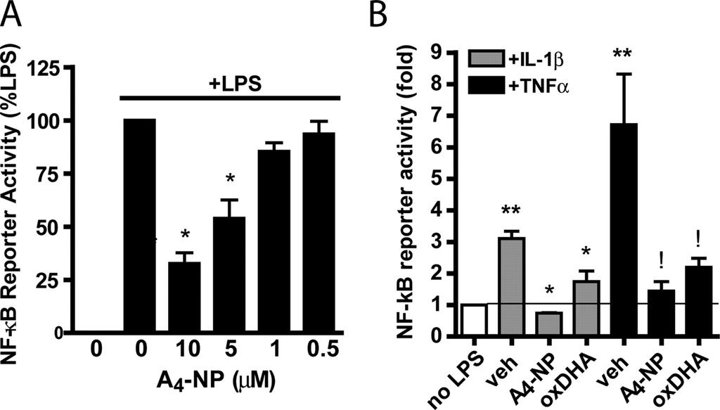 Signaling Pathway Inhibit IKK and NF-κB