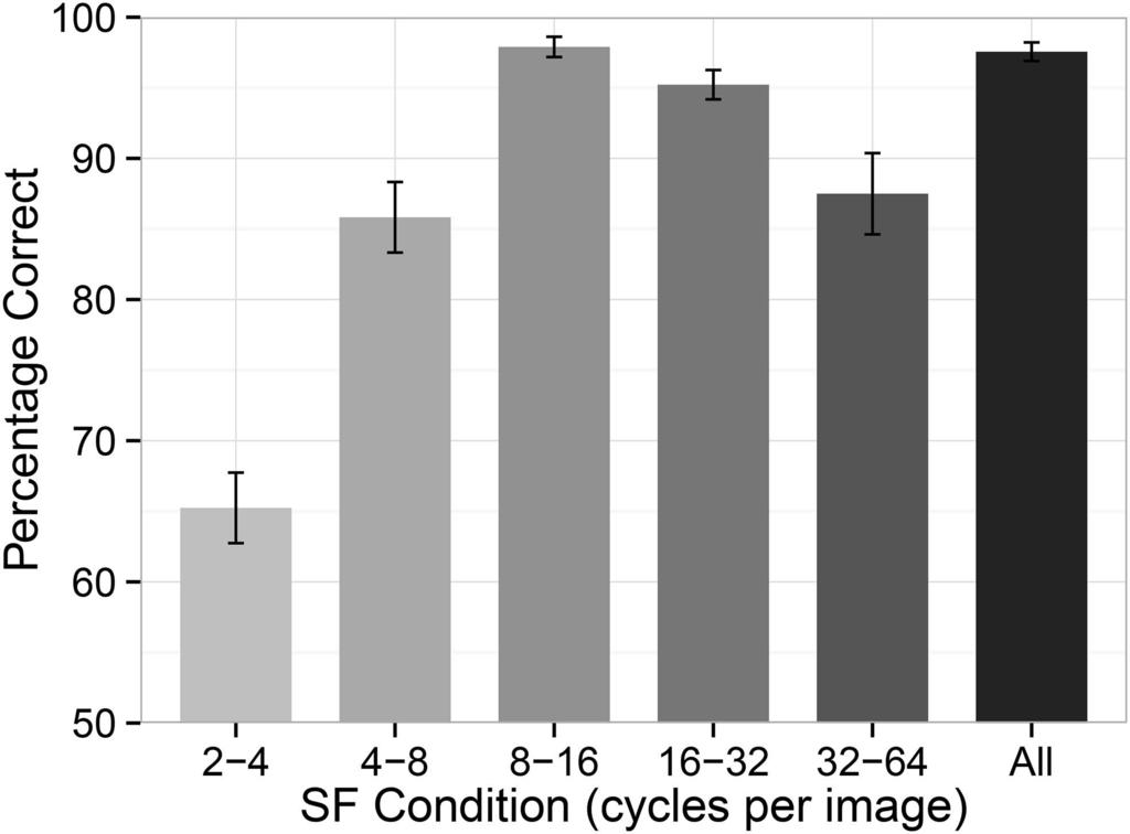 SPATIAL FREQUENCY IN EXPERT OBJECT RECOGNITION 419 Results Similar to Experiment 1, trials with RT 3 SD greater than each participant s grand mean were excluded from further analyses.