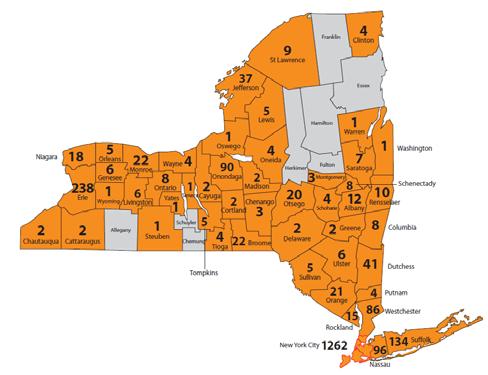 Figure 10) : On 04 May 2009, 81% (73/90) of confirmed A[H1N1] cases in the state, were exclusively from the city of New York.
