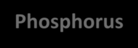 Phosphorus Phosphorus Cycle Singer and