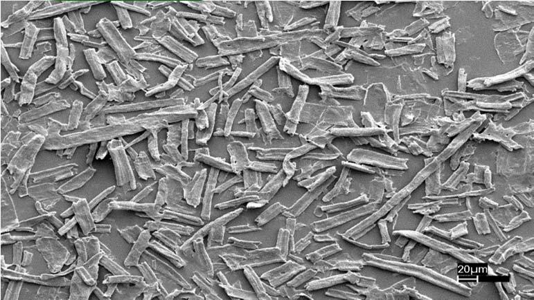 1 µm 1 µm 1 µm A (O50, 100, 45)