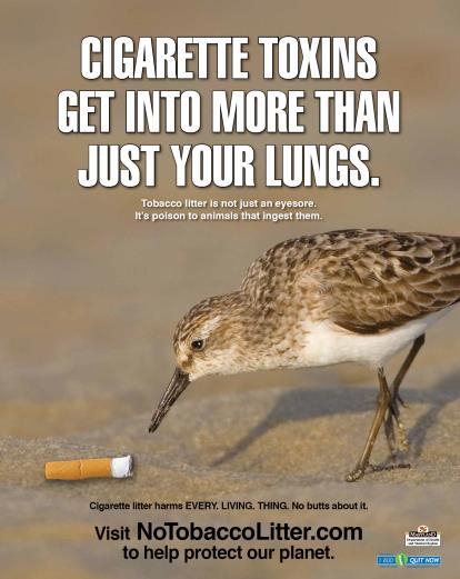 On the Horizon: Tobacco Litter Campaign Toolkit Components Tobacco litter is more