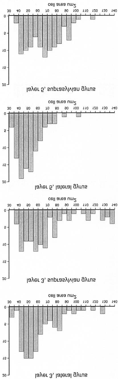 Figure 13. Frequency histograms of the somatal areas of callosally projecting neurons in the posterior parietal cortex. These histograms quantify the observable differences shown in Figure 11.